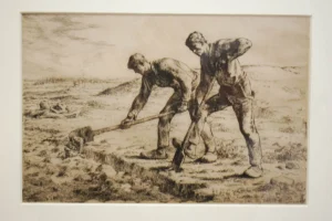MILLET 5